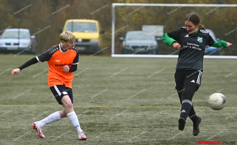 VfB-Steinhofel-Frauen-SV-GW-Letschin-022