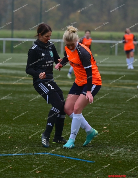 VfB-Steinhofel-Frauen-SV-GW-Letschin-032