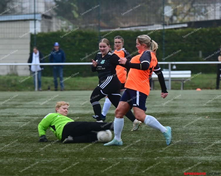 VfB-Steinhofel-Frauen-SV-GW-Letschin-033