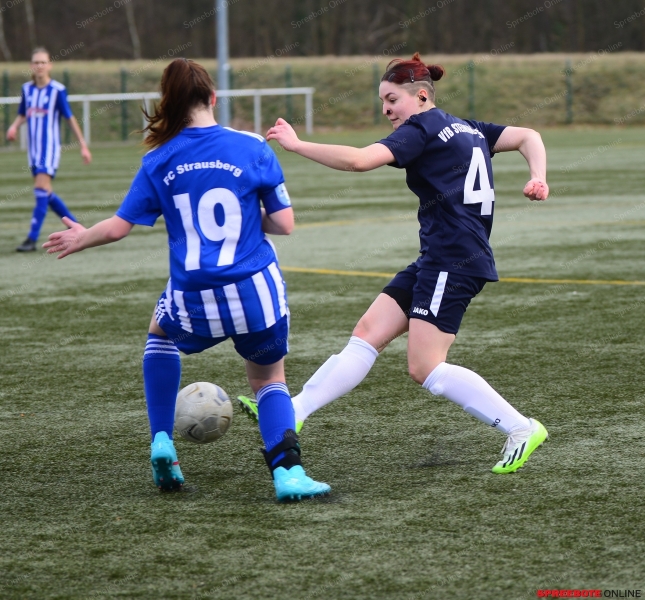 VfB-Steinhofel-Frauen-022