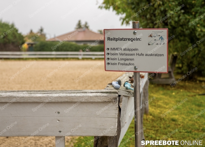 Spreebote-Volle-Konzentration-im-Sattel_gallery1_02