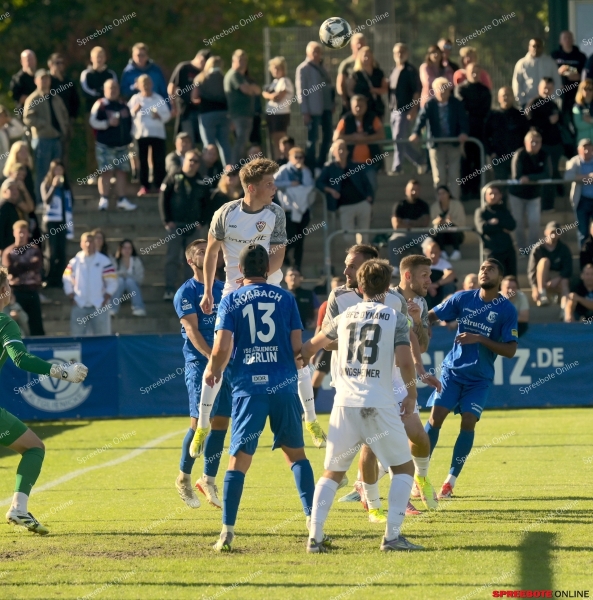 Spreebote-VSG-BFC-011