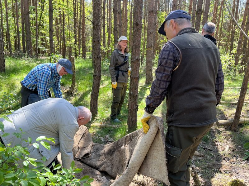 Waldaufraeumaktion-am-Samstag-2-scaled