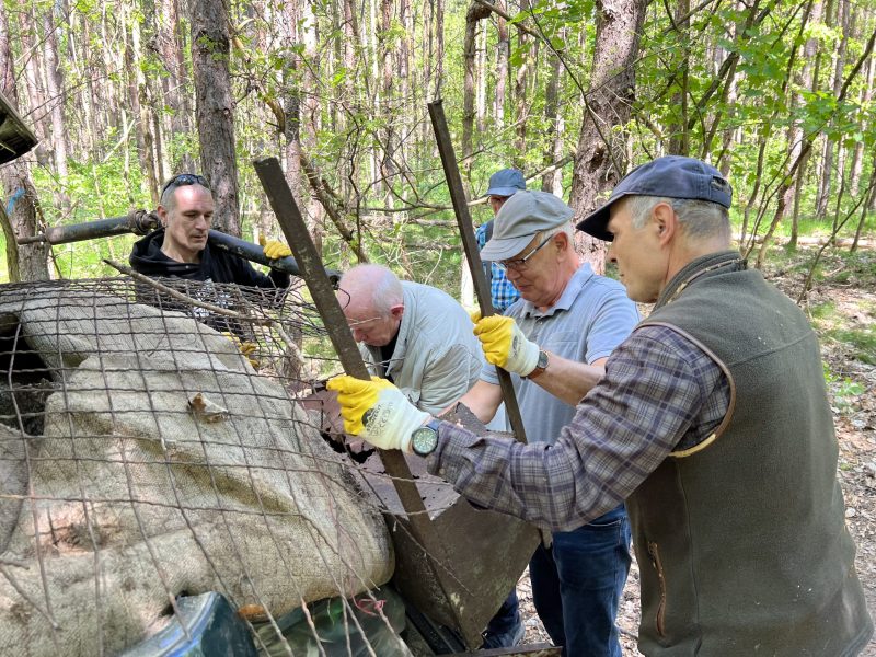 Waldaufraeumaktion-am-Samstag-3-scaled