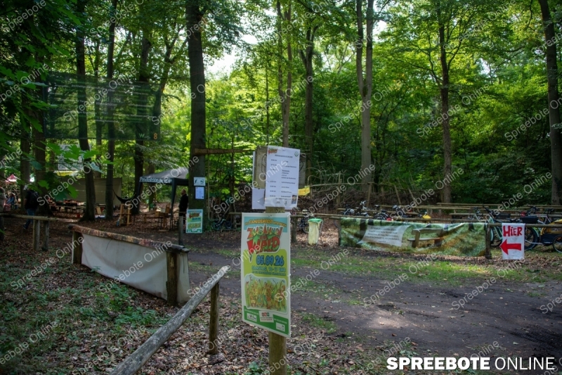 Spreebote-Waldfest-lockt-mit-Vielfalt_gallery1_01