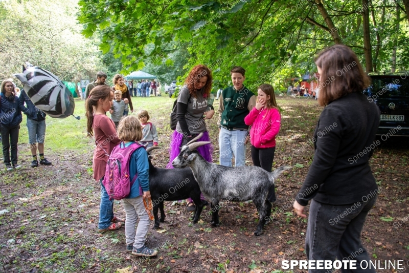 Spreebote-Waldfest-lockt-mit-Vielfalt_gallery1_03