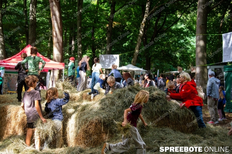 Spreebote-Waldfest-lockt-mit-Vielfalt_gallery1_13