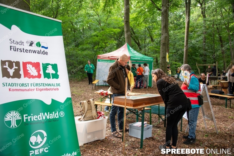Spreebote-Waldfest-lockt-mit-Vielfalt_gallery1_14