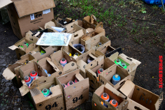 spreebote-familie-Parkclub-Wand-Maler-32