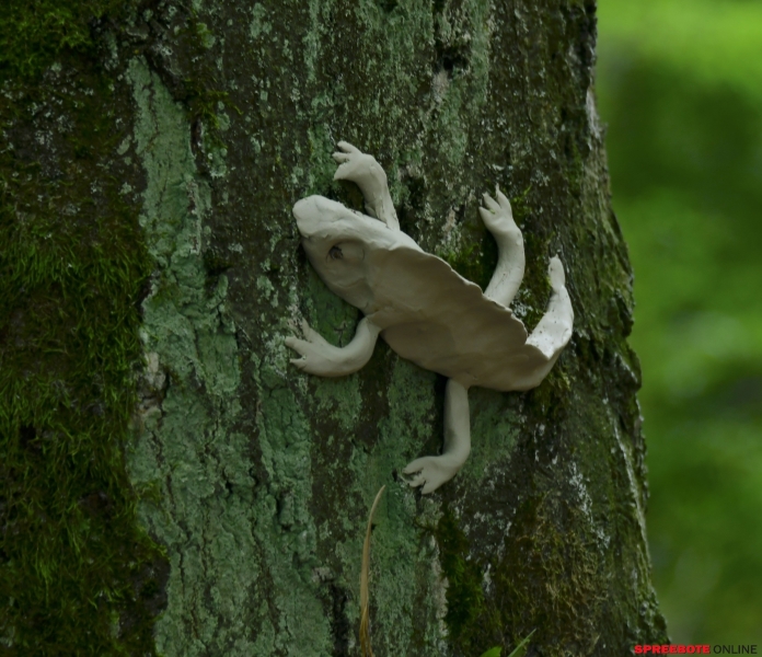 Zusammen-im-Wald-Premiere-008