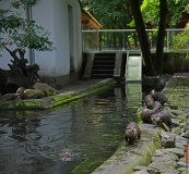 Rahn-Otter-Partenschaft-119-scaled