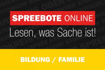 Tätigkeitsbegleitende Qualifizierung zum Kita-Erzieher