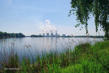 Lausitzer Kompetenzen sind weltweit gefragt