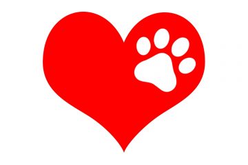 Vorsicht Hundebesitzer!