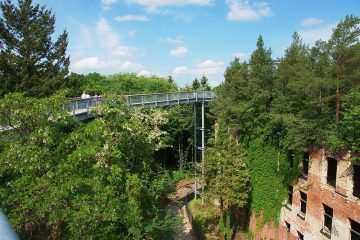 Saisonstart Baumkronenpfad Beelitz-Heilstätten