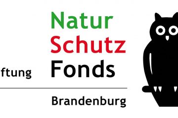 Stiftung lobt Naturschutzpreis 2018 aus