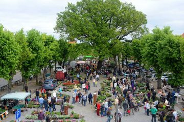 Helfen Sie mit, den Storkower Marktplatz zu gestalten!