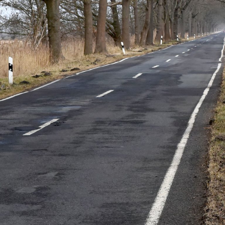 Karrierestart beim Landesbetrieb Straßenwesen