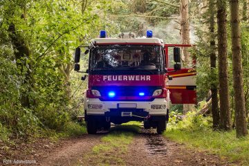 Waldbrandgefahr steigt zum Wochenende wieder an