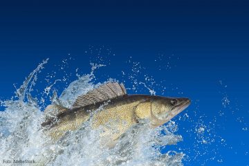 Alles im Fluss