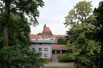 Viel los in und um St. Marien