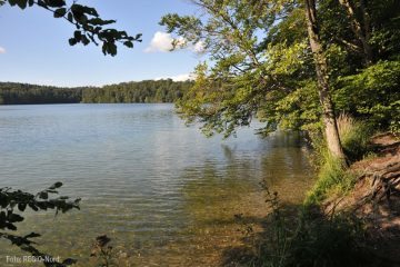 Klarster See Brandenburgs: der Stechlinsee