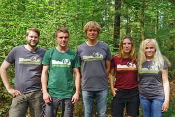 Die nächste Generation im Wald