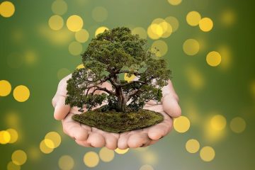Regionale Baukultur als Schwerpunktthema