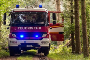 Forstminister zieht Bilanz zur Waldbrandsaison