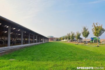 Buchholzer sind Brandenburgs Spitzenreiter bei Milchtankstellen