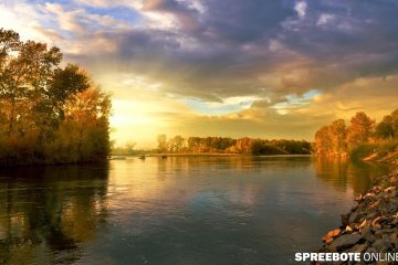 Aktiv für biologische Vielfalt in Brandenburg