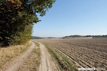 Wie kann durch Bodenmanagement in der Landwirtschaft das 2-Grad-Limit eingehalten werden?