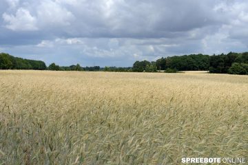 Spagat zwischen Umweltschutz & moderner Landwirtschaft