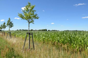Fachkräftebedarf in Brandenburgs Landwirtschaft bis 2030