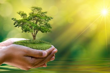 Handwerk investiert in Klimaschutz