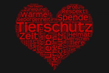 Tierschutzbeirat im Landkreis Oder-Spree gegründet