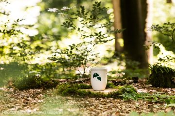Andachtsfeier im FriedWald Fürstenwalde