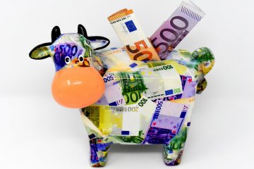 Direktzahlungen