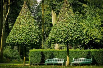 Naturpark-Projekt 2019 gesucht