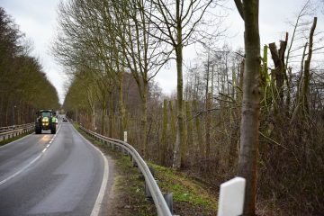 Bündnisgrüne verlangen Einschreiten vom Landrat in LOS