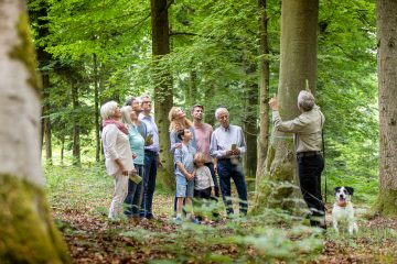 Alternative zum konventionellen Friedhof