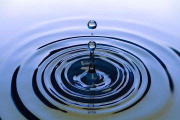 Wasserstoff in Brandenburg voranbringen