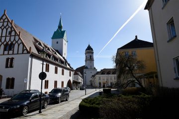 Zauneidechse, Binnendüne, Frischluftschneise