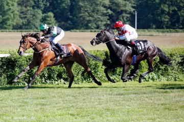„Gold Cup“-Sieger Willie Mullins meldet elf Pferde