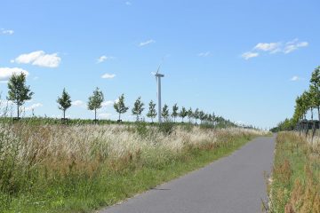 Bundeswettbewerb „Bioenergie-Kommunen“ gestartet