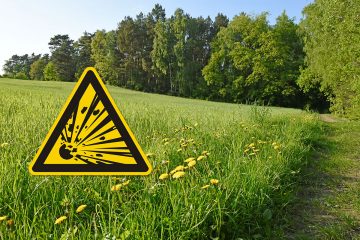 Kampfmittelbeseitigung im Landeswald auf gutem Weg