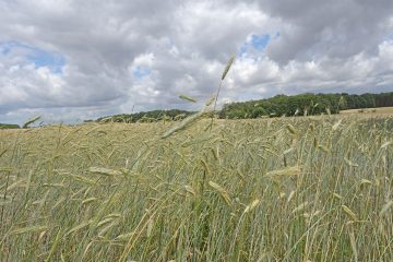 Nahrungsmittel müssen geschützt werden