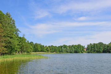 Badestellen in Oder-Spree