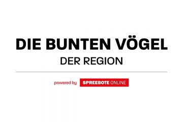 Interview mit Nicole Schönert