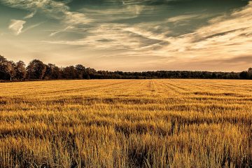 Landwirtschaftsdialog im Kanzleramt